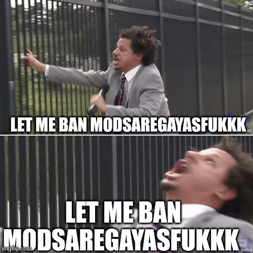 Eric Andre Let me In Meme | LET ME BAN MODSAREGAYASFUKKK; LET ME BAN MODSAREGAYASFUKKK | image tagged in eric andre let me in meme | made w/ Imgflip meme maker