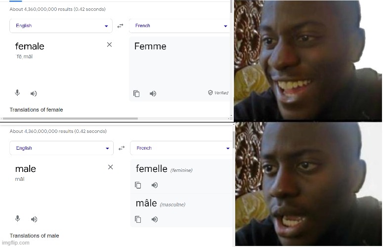 The French need to get their stuff straight | image tagged in world language meme,dissapointed black guy,french meme,memes,confused | made w/ Imgflip meme maker