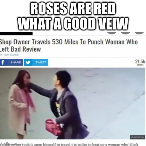 respect | ROSES ARE RED
WHAT A GOOD VEIW | image tagged in roses are red | made w/ Imgflip meme maker