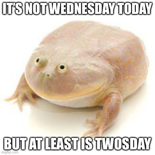 Wednesday Frog Blank | IT’S NOT WEDNESDAY TODAY; BUT AT LEAST IS TWOSDAY | image tagged in wednesday frog blank | made w/ Imgflip meme maker
