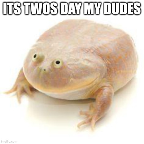 Wednesday Frog Blank | ITS TWOS DAY MY DUDES | image tagged in wednesday frog blank | made w/ Imgflip meme maker