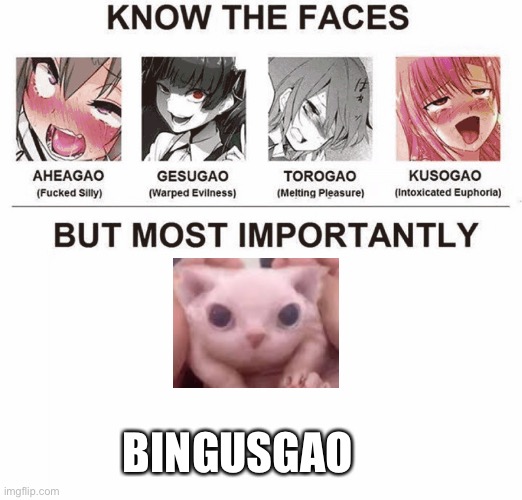 Idk anymore | BINGUSGAO | image tagged in types of gao | made w/ Imgflip meme maker
