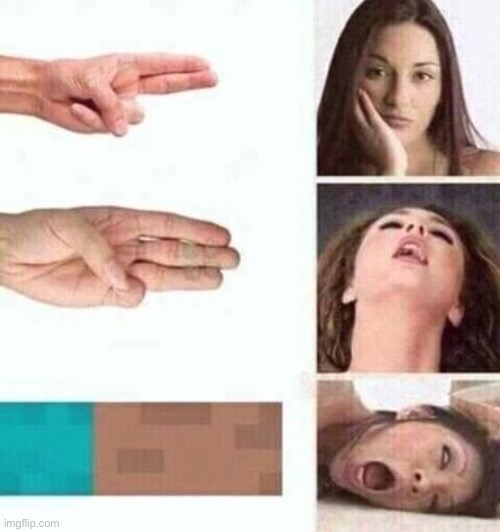 Moancraft | image tagged in ahegao fingers | made w/ Imgflip meme maker