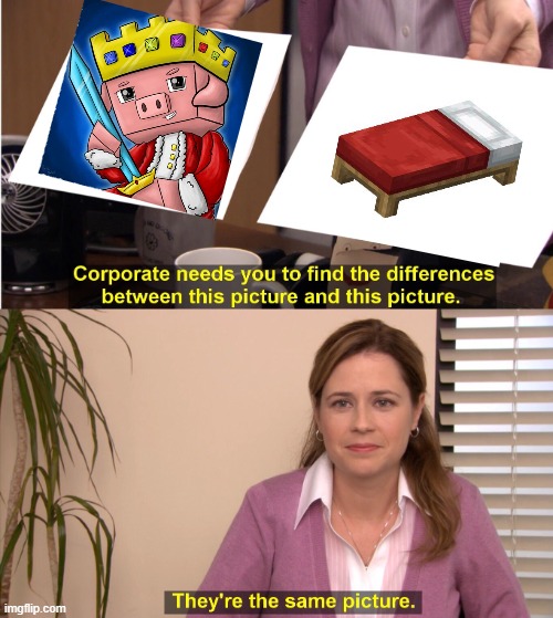 bedwars | image tagged in memes,they're the same picture | made w/ Imgflip meme maker