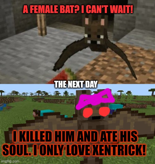 A FEMALE BAT? I CAN'T WAIT! THE NEXT DAY I KILLED HIM AND ATE HIS SOUL. I ONLY LOVE XENTRICK! | image tagged in me and the boys | made w/ Imgflip meme maker
