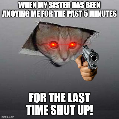 Ceiling Cat |  WHEN MY SISTER HAS BEEN ANOYING ME FOR THE PAST 5 MINUTES; FOR THE LAST TIME SHUT UP! | image tagged in memes,ceiling cat | made w/ Imgflip meme maker