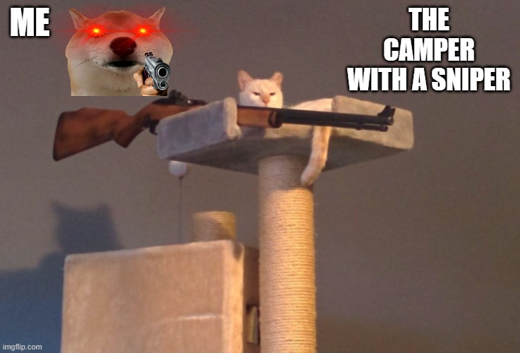 Cat with gun | ME; THE CAMPER WITH A SNIPER | image tagged in cat with gun | made w/ Imgflip meme maker