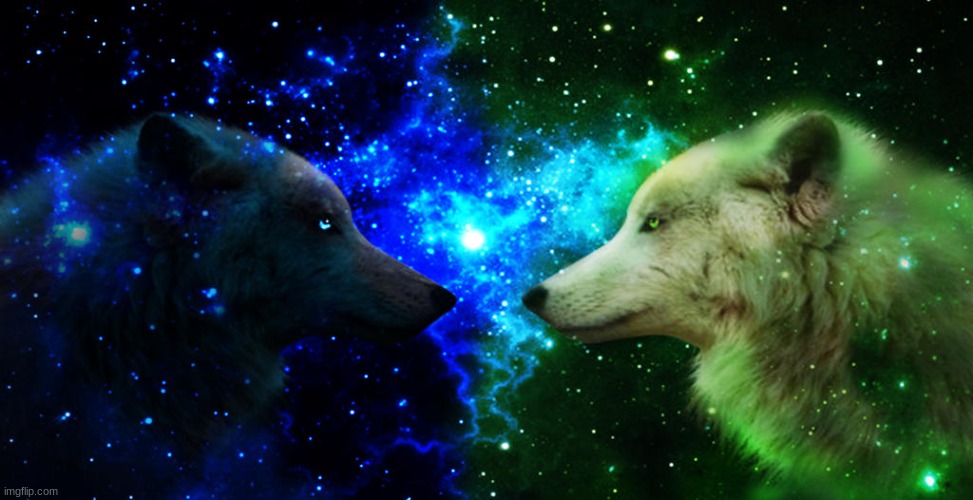 galaxy wolves | image tagged in asdf,hello god he's here | made w/ Imgflip meme maker