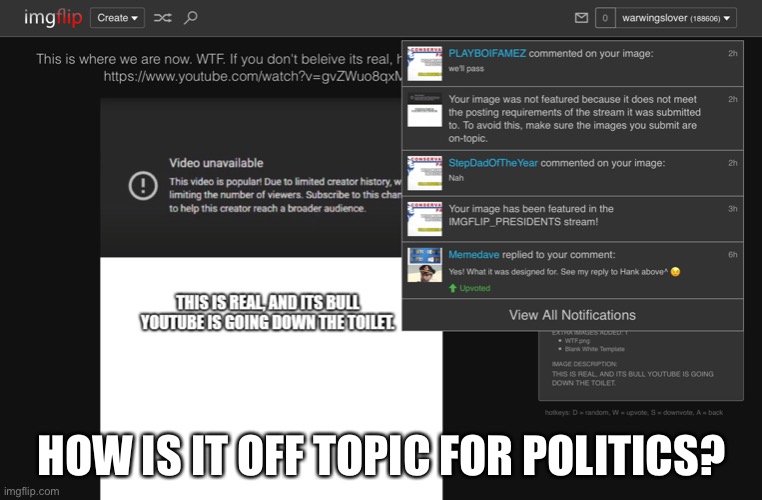 It was saying that YouTube is liberal and biased. It’s not off topicHere’s link to original imagehttps://imgflip.com/i/6677i | HOW IS IT OFF TOPIC FOR POLITICS? | image tagged in liberal hypocrisy,youtube,it makes no sense,why | made w/ Imgflip meme maker