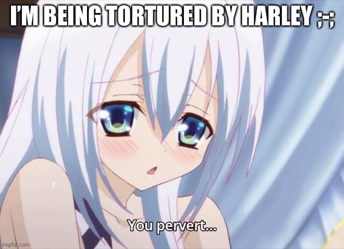 AHHHHHH- *passes out irl* | I’M BEING TORTURED BY HARLEY ;-; | image tagged in you pervert | made w/ Imgflip meme maker