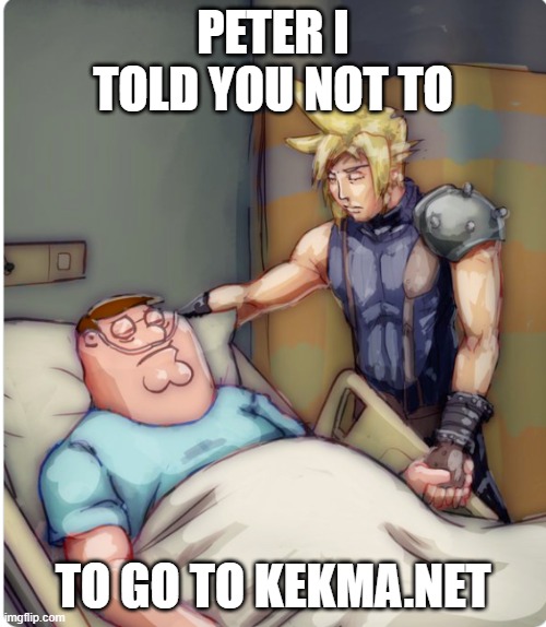 PETER I TOLD YOU | PETER I TOLD YOU NOT TO; TO GO TO KEKMA.NET | image tagged in peter i told you | made w/ Imgflip meme maker