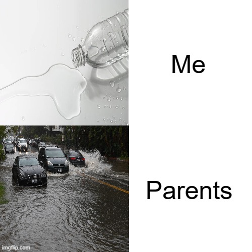 What I see vs what parents see | Me; Parents | image tagged in memes | made w/ Imgflip meme maker