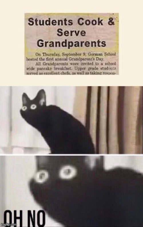 image tagged in oh no cat | made w/ Imgflip meme maker