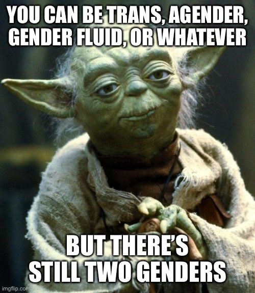 Star Wars Yoda | YOU CAN BE TRANS, AGENDER, GENDER FLUID, OR WHATEVER; BUT THERE’S STILL TWO GENDERS | image tagged in memes,star wars yoda | made w/ Imgflip meme maker