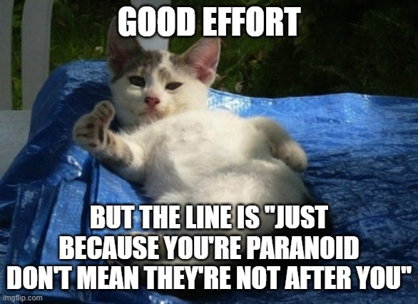 Good effort cat | GOOD EFFORT BUT THE LINE IS "JUST BECAUSE YOU'RE PARANOID DON'T MEAN THEY'RE NOT AFTER YOU" | image tagged in good effort cat | made w/ Imgflip meme maker