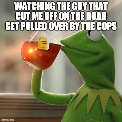 But That's None Of My Business Meme | WATCHING THE GUY THAT CUT ME OFF ON THE ROAD GET PULLED OVER BY THE COPS | image tagged in memes,but that's none of my business,kermit the frog | made w/ Imgflip meme maker