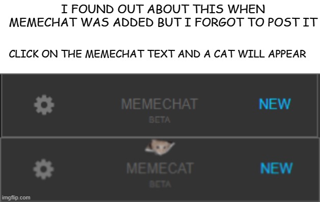 if you know congratulations :D | I FOUND OUT ABOUT THIS WHEN MEMECHAT WAS ADDED BUT I FORGOT TO POST IT; CLICK ON THE MEMECHAT TEXT AND A CAT WILL APPEAR | image tagged in blank white template,memes,funny,msmg | made w/ Imgflip meme maker