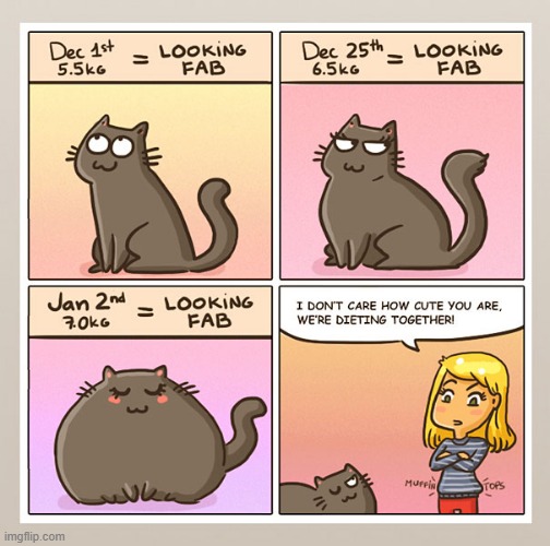chonky | image tagged in memes,not memes,funny,comics | made w/ Imgflip meme maker