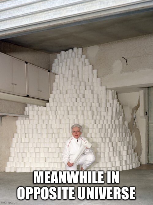 mountain of toilet paper | MEANWHILE IN OPPOSITE UNIVERSE | image tagged in mountain of toilet paper | made w/ Imgflip meme maker