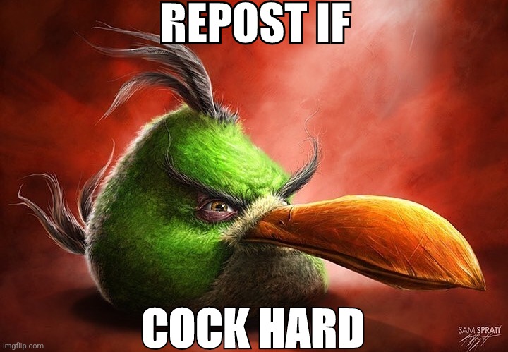 REPOST IF; COCK HARD | made w/ Imgflip meme maker