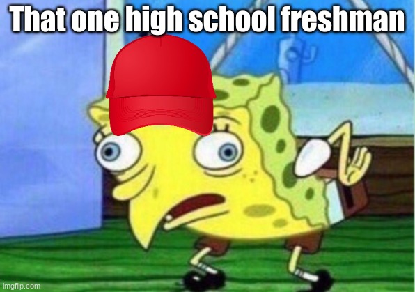 Mocking Spongebob Meme | That one high school freshman | image tagged in memes,mocking spongebob | made w/ Imgflip meme maker