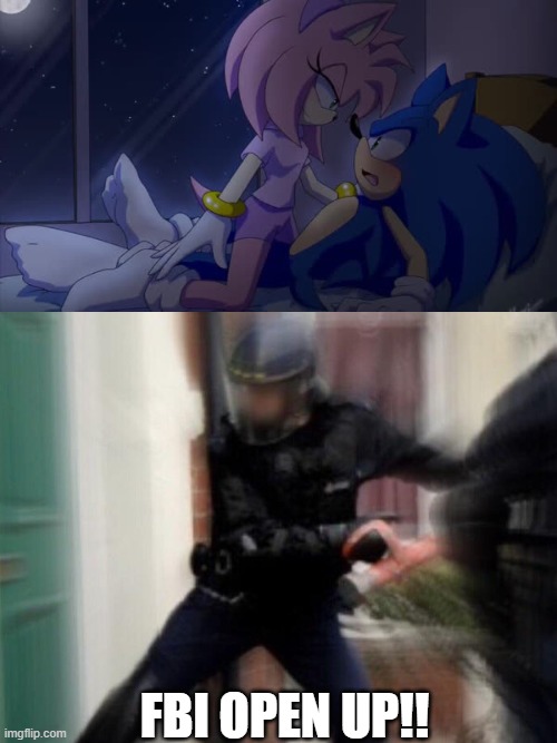 FBI OPEN UP!! | FBI OPEN UP!! | image tagged in sonamy,fbi door breach,never gonna give you up,never gonna let you down,never gonna run around | made w/ Imgflip meme maker