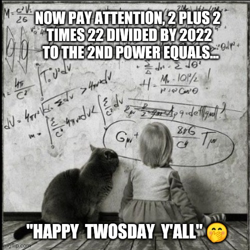 02-22-2022 | NOW PAY ATTENTION, 2 PLUS 2 
TIMES 22 DIVIDED BY 2022
 TO THE 2ND POWER EQUALS... "HAPPY  TWOSDAY  Y'ALL" 🤭 | image tagged in twosday mes,funny 02222022 memes,funny cat memes,funny kids memes,math memes,palindrome dates | made w/ Imgflip meme maker