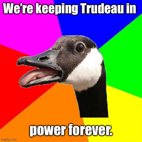 Sexy Canadian Goose | We’re keeping Trudeau in power forever. | image tagged in sexy canadian goose | made w/ Imgflip meme maker