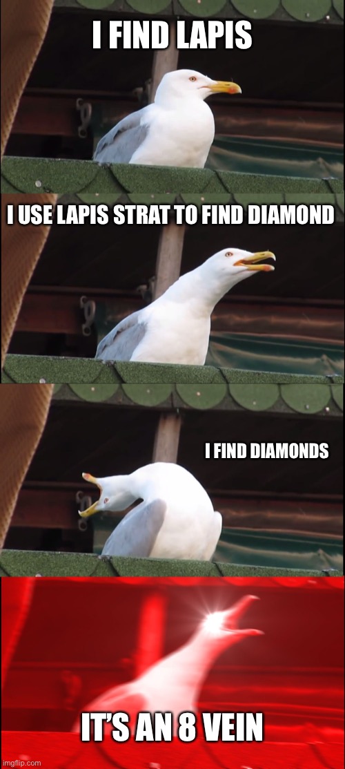 Inhaling Seagull | I FIND LAPIS; I USE LAPIS STRAT TO FIND DIAMOND; I FIND DIAMONDS; IT’S AN 8 VEIN | image tagged in memes,inhaling seagull | made w/ Imgflip meme maker