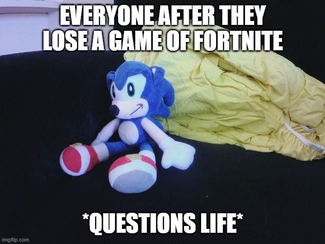 sonic questioning life | EVERYONE AFTER THEY LOSE A GAME OF FORTNITE; *QUESTIONS LIFE* | image tagged in sonic questioning life | made w/ Imgflip meme maker