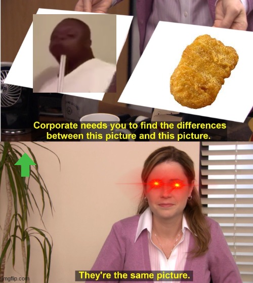Nugget | image tagged in memes,they're the same picture | made w/ Imgflip meme maker