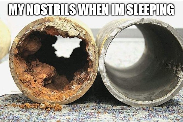 relatable? |  MY NOSTRILS WHEN IM SLEEPING | image tagged in nose | made w/ Imgflip meme maker