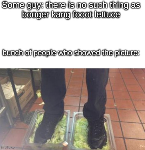 just bored so i made this | Some guy: there is no such thing as
booger kang fooot lettuce; bunch of people who showed the picture: | image tagged in blank white template,burger king foot lettuce,lol,wtf,burger king,memes | made w/ Imgflip meme maker