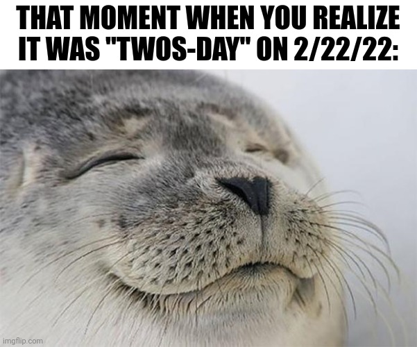 This is true | THAT MOMENT WHEN YOU REALIZE IT WAS "TWOS-DAY" ON 2/22/22: | image tagged in memes,satisfied seal,tuesday,satisfying,so true memes | made w/ Imgflip meme maker