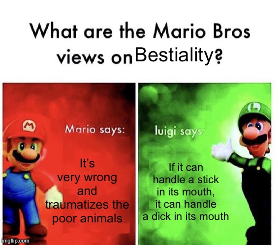 Oh god. | Bestiality; It’s very wrong and traumatizes the poor animals; If it can handle a stick in its mouth, it can handle a dick in its mouth | image tagged in mario bros views,dark humor,funny memes,dogs,pets,funny animals | made w/ Imgflip meme maker