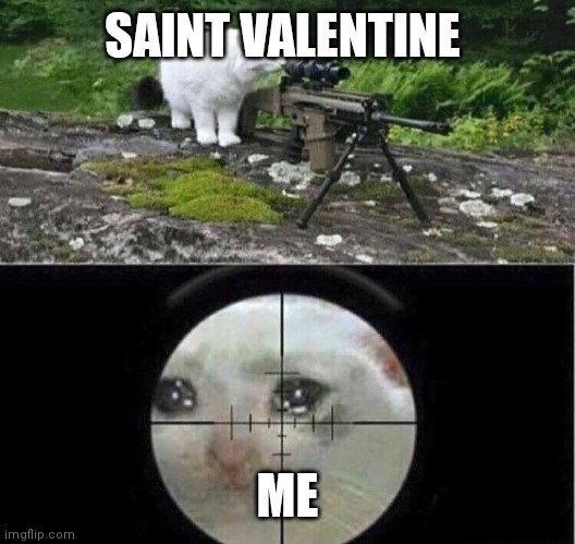 Sniper cat | SAINT VALENTINE ME | image tagged in sniper cat | made w/ Imgflip meme maker