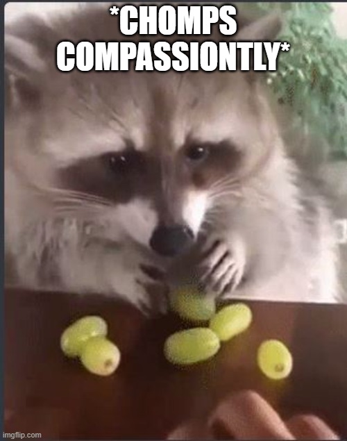 *CHOMPS COMPASSIONTLY* | made w/ Imgflip meme maker