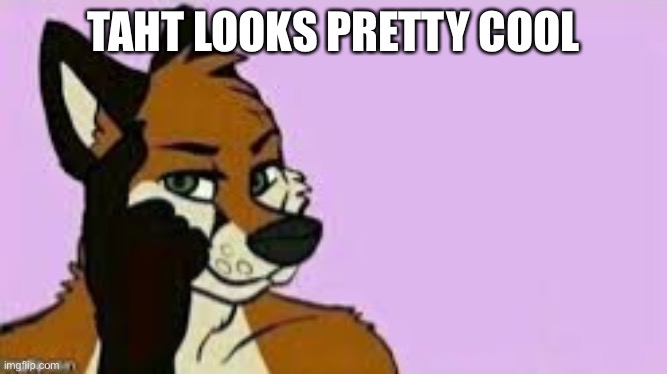 TAHT LOOKS PRETTY COOL | image tagged in roll furry think about it | made w/ Imgflip meme maker