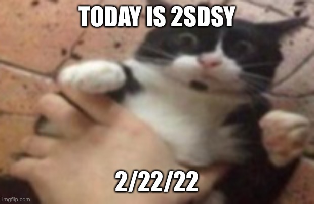 Run | TODAY IS 2SDSY; 2/22/22 | image tagged in run | made w/ Imgflip meme maker