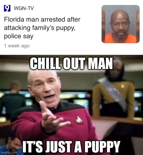 Florida man is at it again |  CHILL OUT MAN; IT’S JUST A PUPPY | image tagged in picard wtf,picard,captain picard,florida man,memes,funny | made w/ Imgflip meme maker