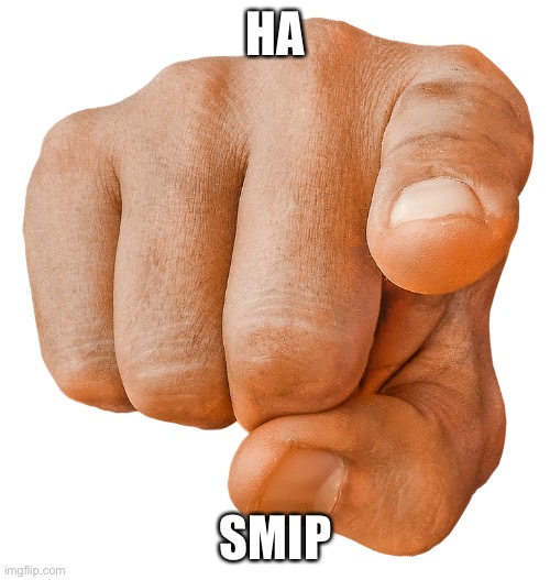 finger pointing at you | HA SMIP | image tagged in finger pointing at you | made w/ Imgflip meme maker