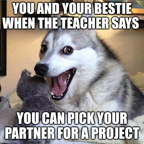 pun dog meme | YOU AND YOUR BESTIE WHEN THE TEACHER SAYS; YOU CAN PICK YOUR PARTNER FOR A PROJECT | image tagged in doggo | made w/ Imgflip meme maker