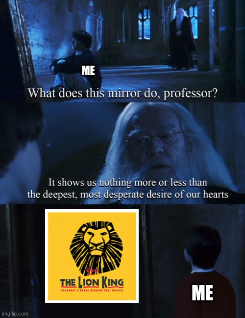 Harry potter mirror |  ME; ME | image tagged in harry potter mirror | made w/ Imgflip meme maker