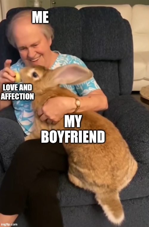 Wholesome Vibes | ME; LOVE AND AFFECTION; MY BOYFRIEND | image tagged in grandma feeding her rabbit | made w/ Imgflip meme maker