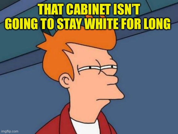Futurama Fry Meme | THAT CABINET ISN’T GOING TO STAY WHITE FOR LONG | image tagged in memes,futurama fry | made w/ Imgflip meme maker