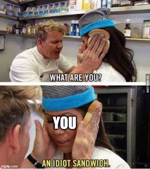 Idiot sandwich | YOU | image tagged in idiot sandwich | made w/ Imgflip meme maker