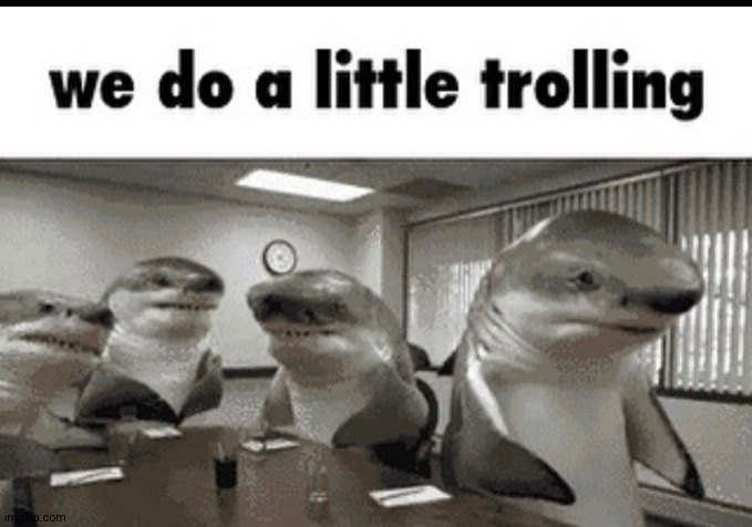 we do a little trolling | image tagged in we do a little trolling | made w/ Imgflip meme maker