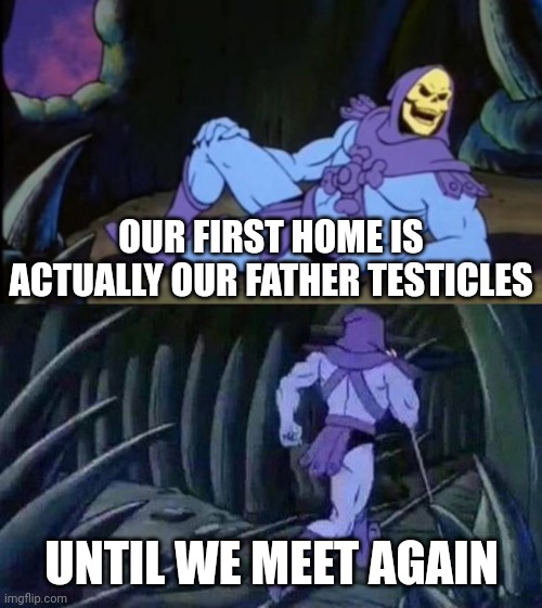 Damn, i cant even get a sleep because of that fact | OUR FIRST HOME IS ACTUALLY OUR FATHER TESTICLES; UNTIL WE MEET AGAIN | image tagged in uncomfortable truth skeletor,father | made w/ Imgflip meme maker