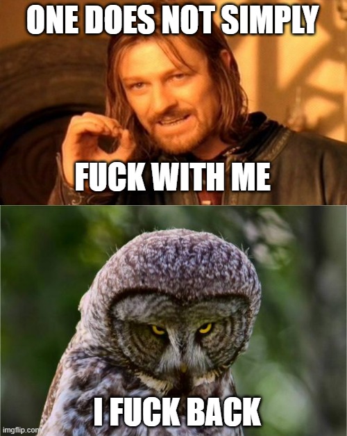 U want sum fuck? | ONE DOES NOT SIMPLY; FUCK WITH ME; I FUCK BACK | image tagged in memes,one does not simply,seriously owl | made w/ Imgflip meme maker