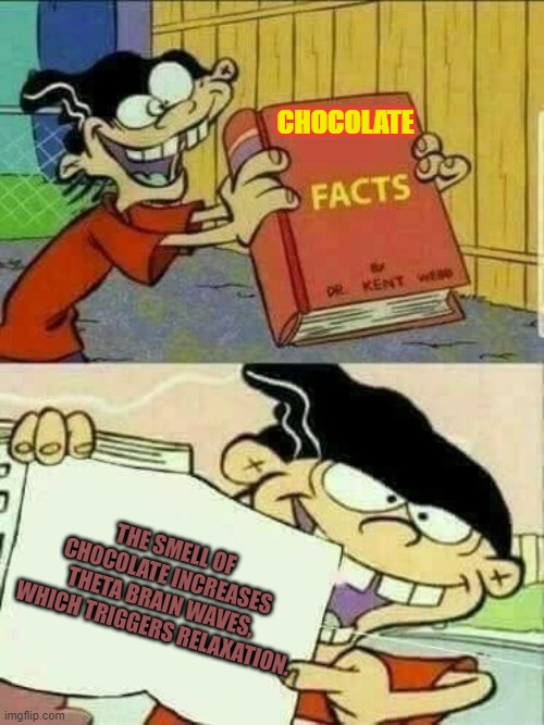 Chocolate be more important than yoga | CHOCOLATE; THE SMELL OF CHOCOLATE INCREASES THETA BRAIN WAVES, WHICH TRIGGERS RELAXATION. | image tagged in double d facts book | made w/ Imgflip meme maker